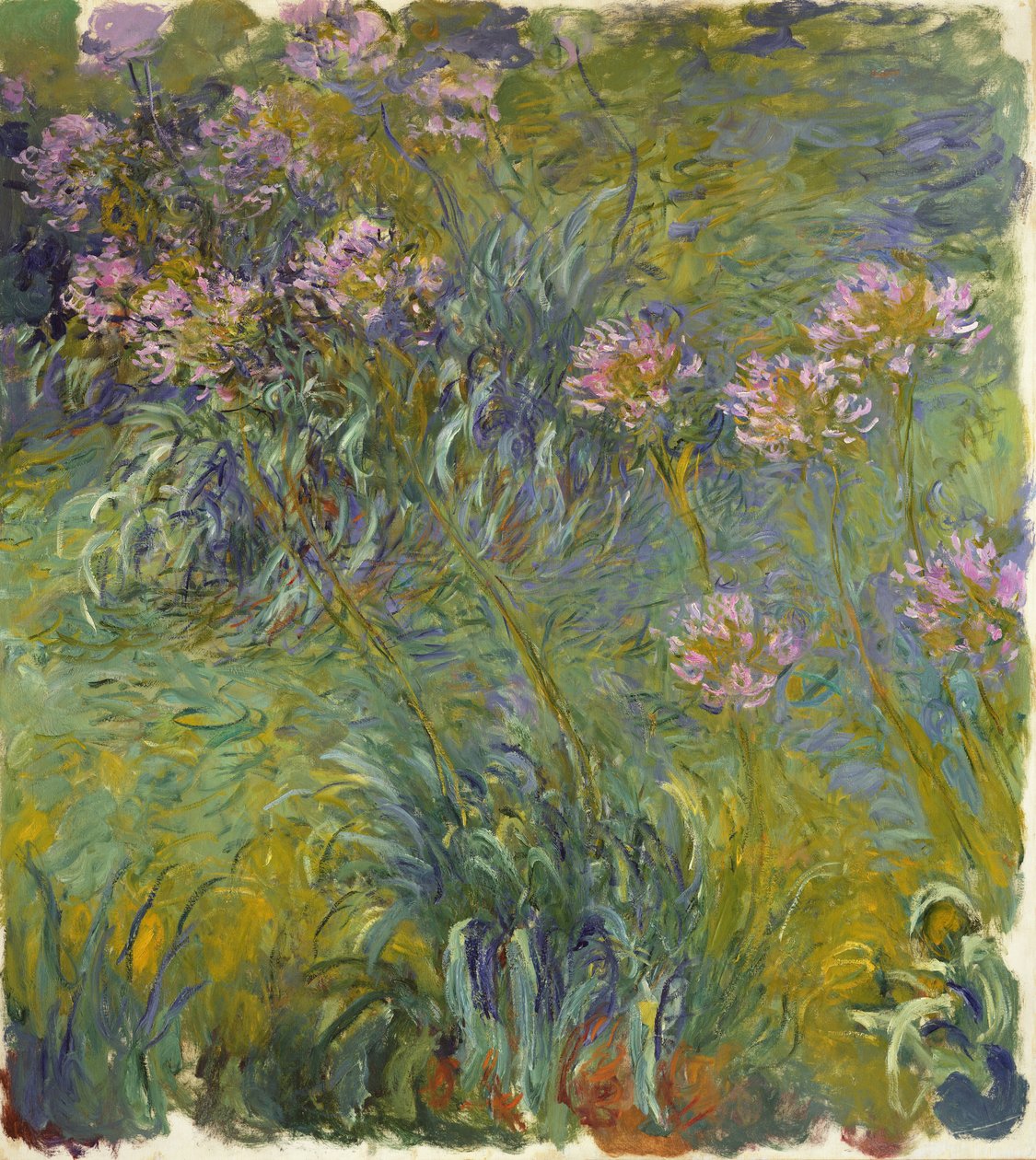 Agapanthus by Claude Monet