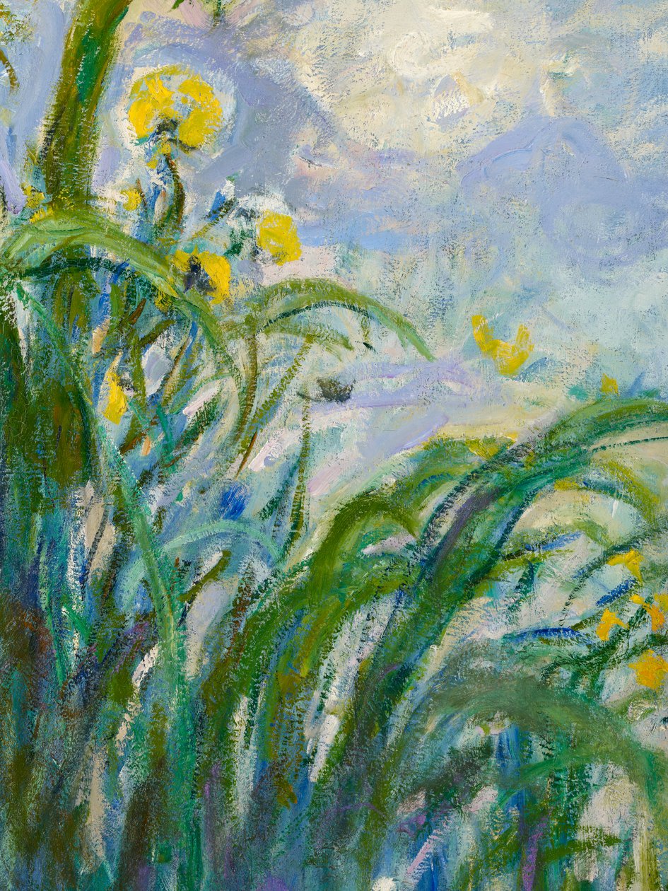 The Yellow Iris (detail) by Claude Monet