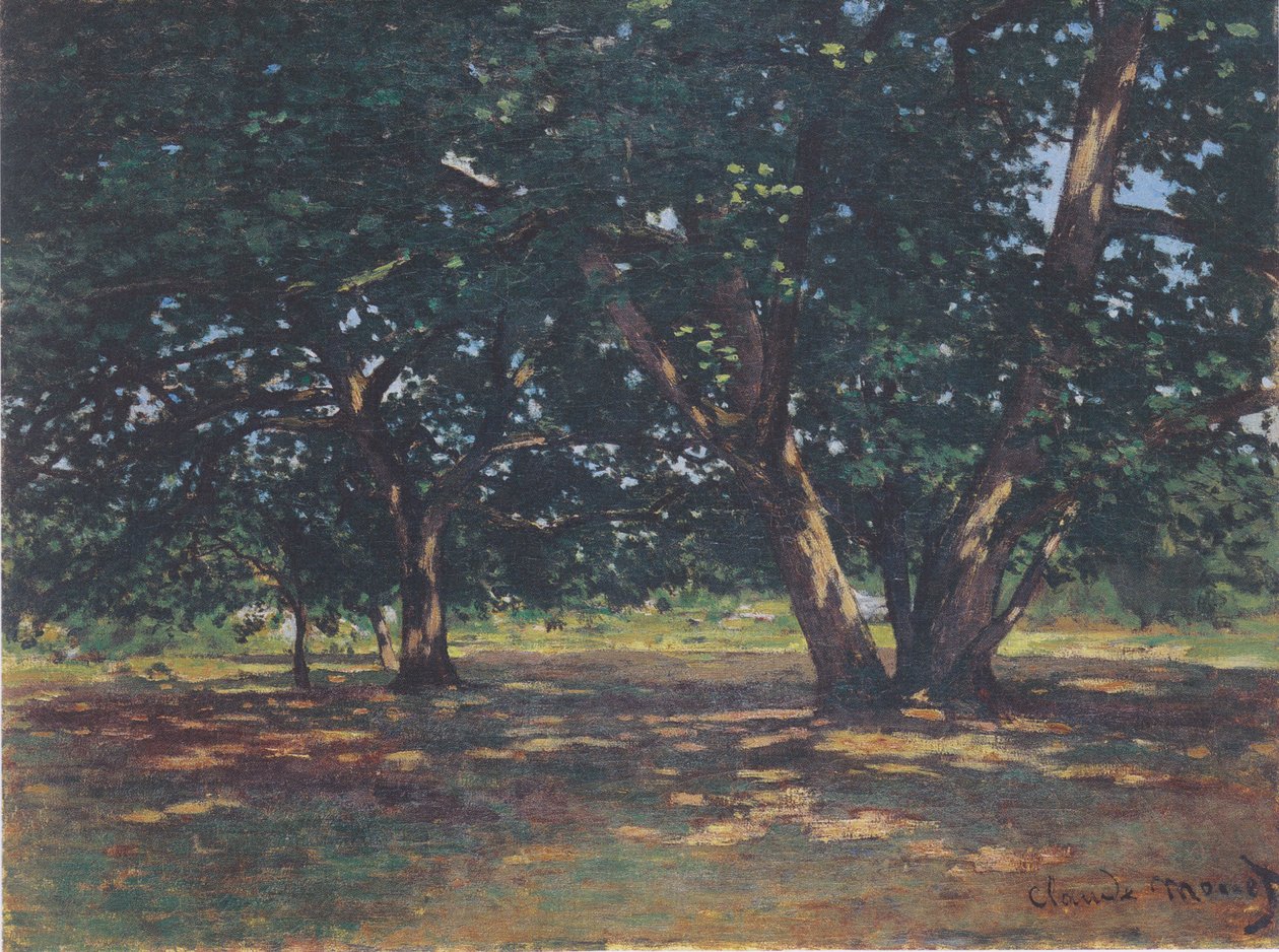 Forest of Fontainebleau by Claude Monet