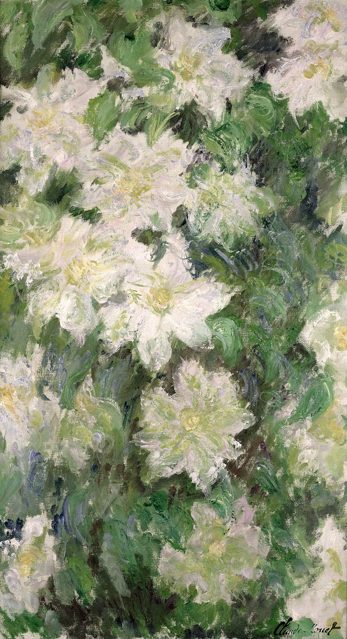 White Clematis, 1887 by Claude Monet
