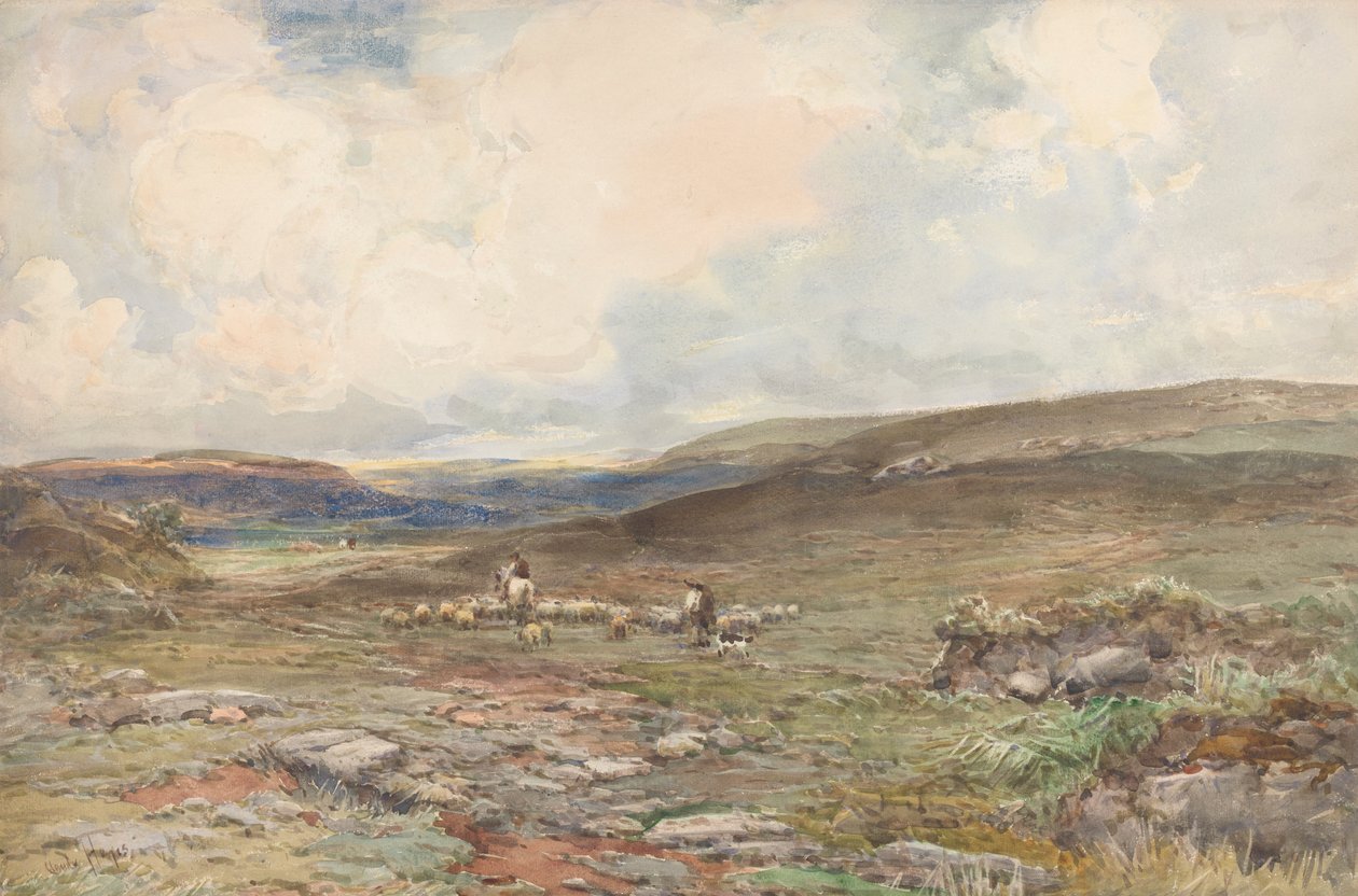 Moorland with Sheep and Shepherd by Claude Hayes