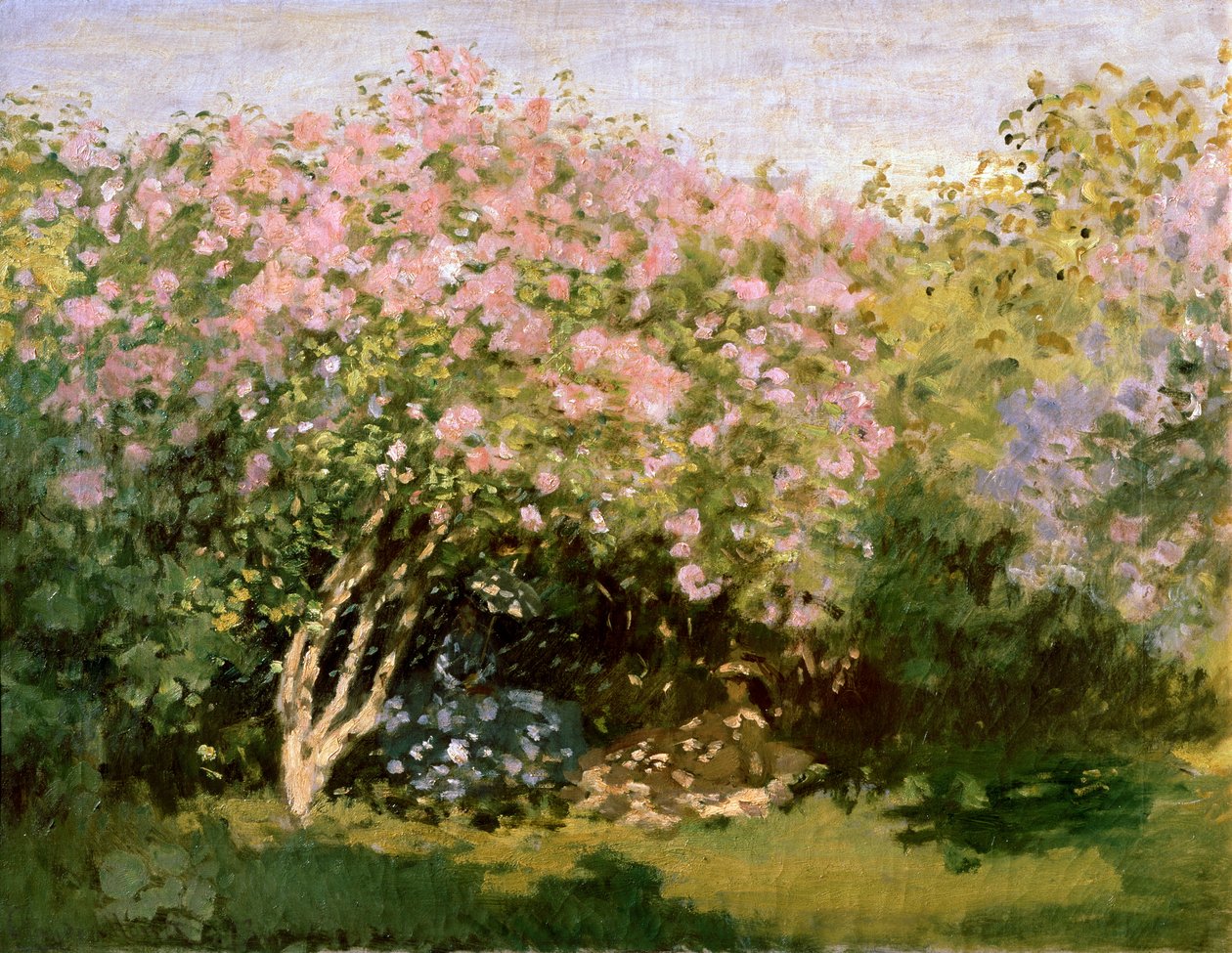 Lilac in the Sun, 1872-1873 by Claude Monet