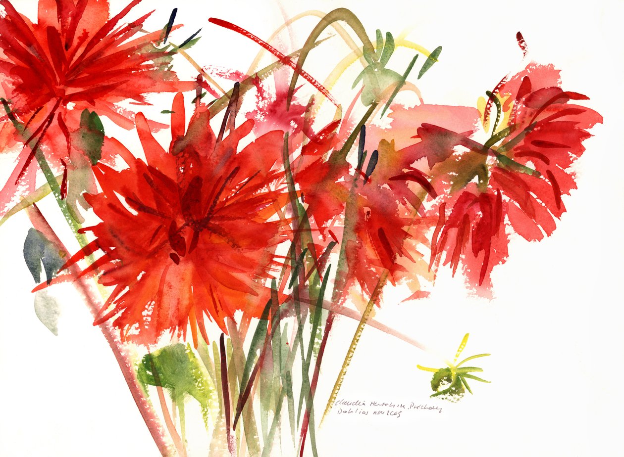 Dahlias by Claudia Hutchins Puechavy