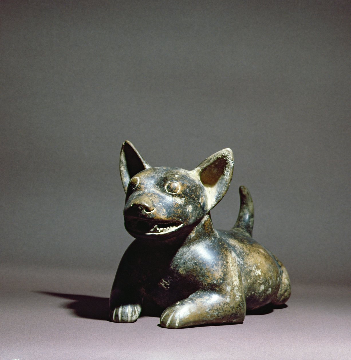 Colima Half-Lying Dog, 300 BC - 500 BC by Colima Culture