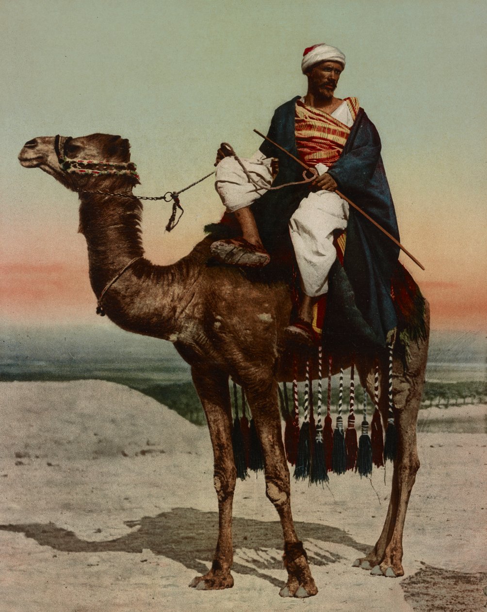 A Bedouin, Cairo, Egypt by Company Photoglob