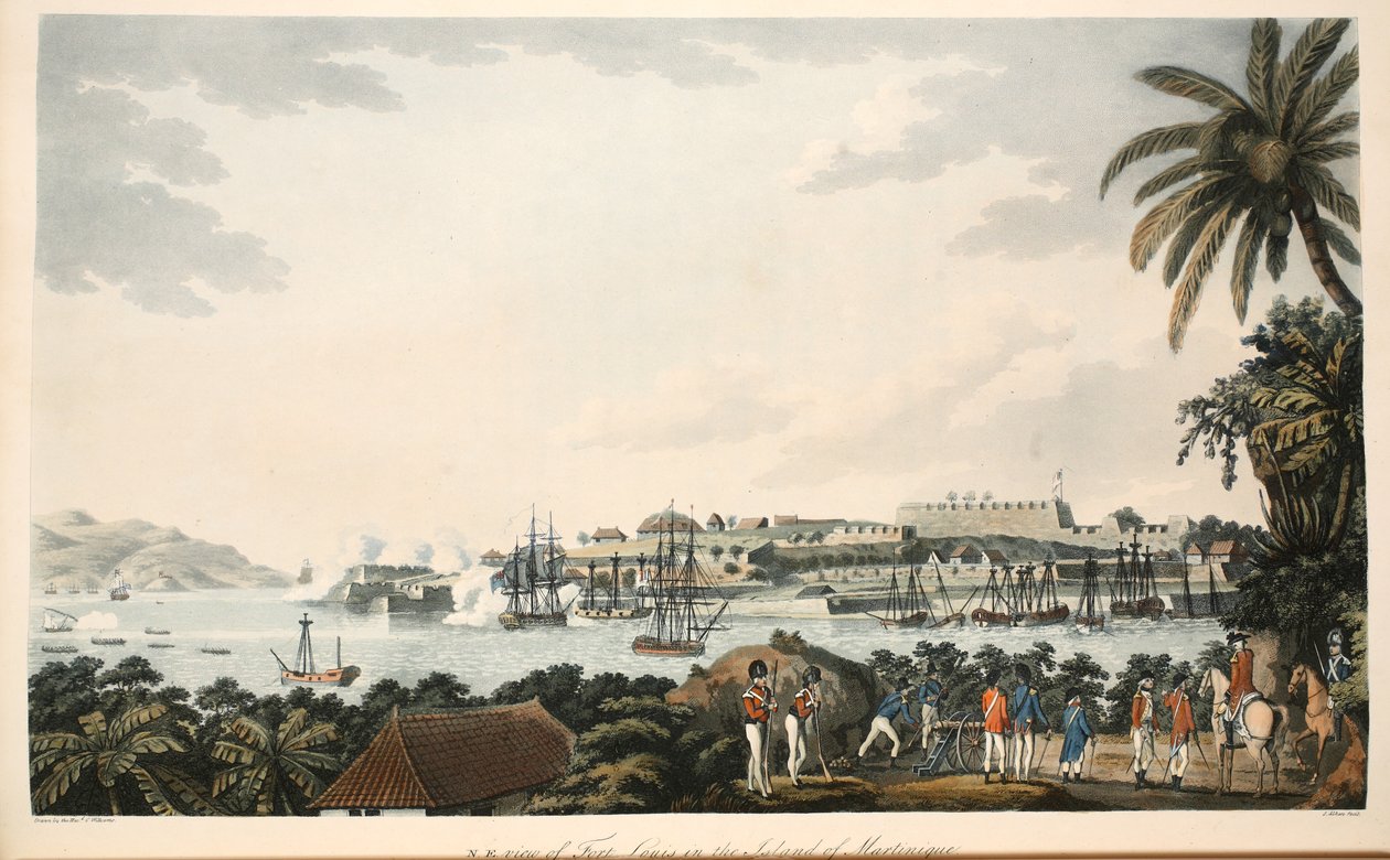 N.E. view of Fort Louis in the Island of Martinique, illustration from 