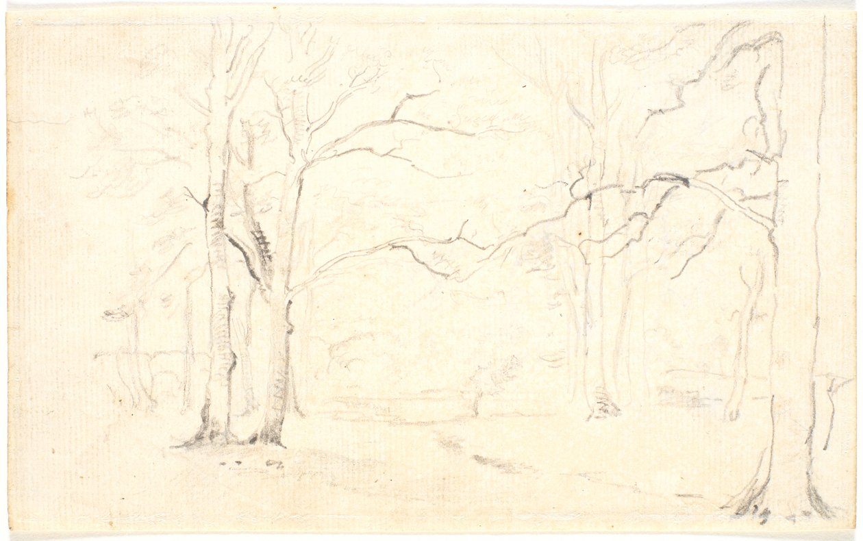 Forest Interior by Dankvart Dreyer