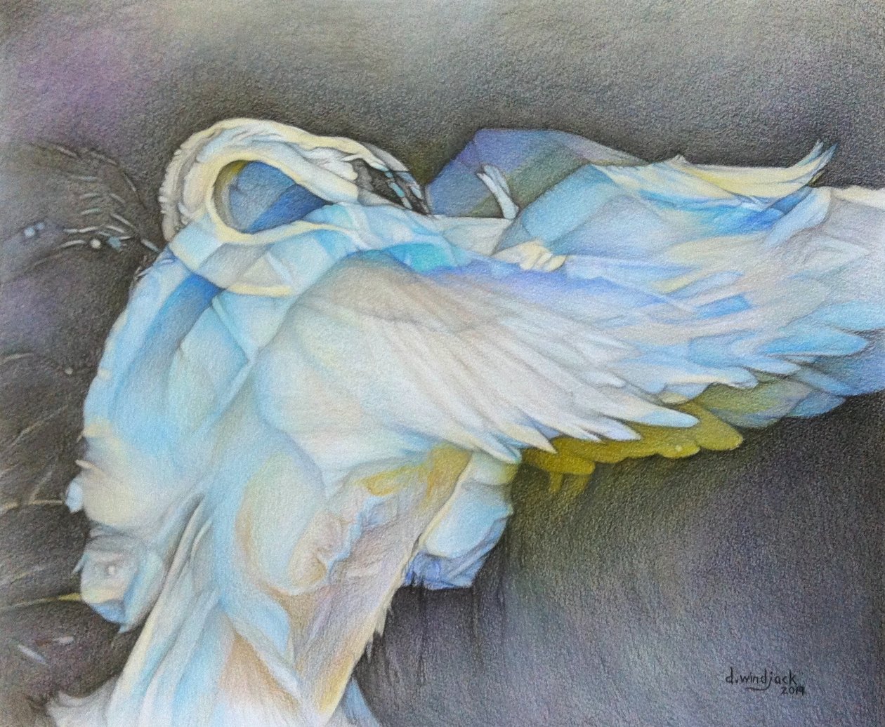 Taking Flight by Darrell Windjack