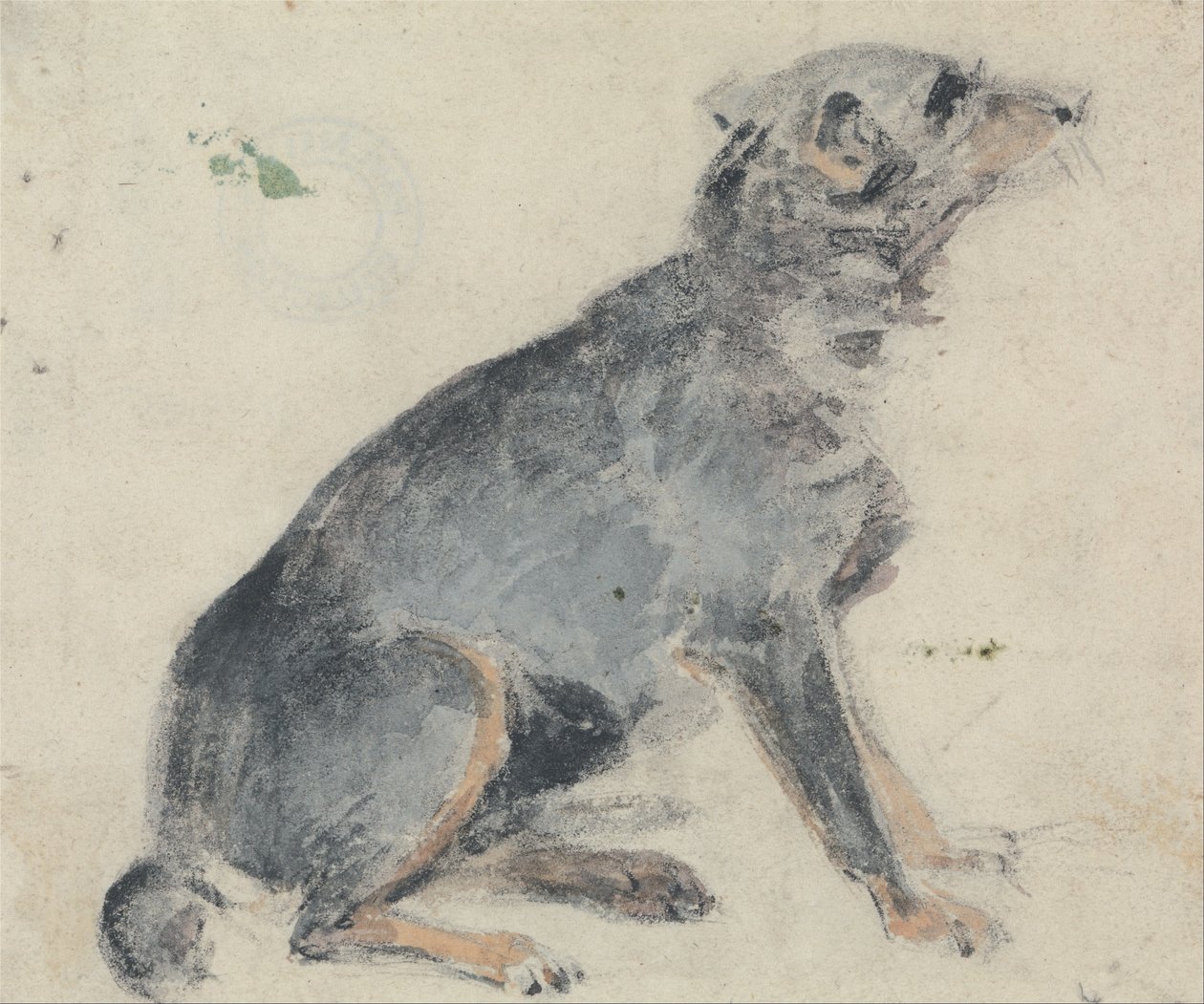 Study of a Dog by David Cox