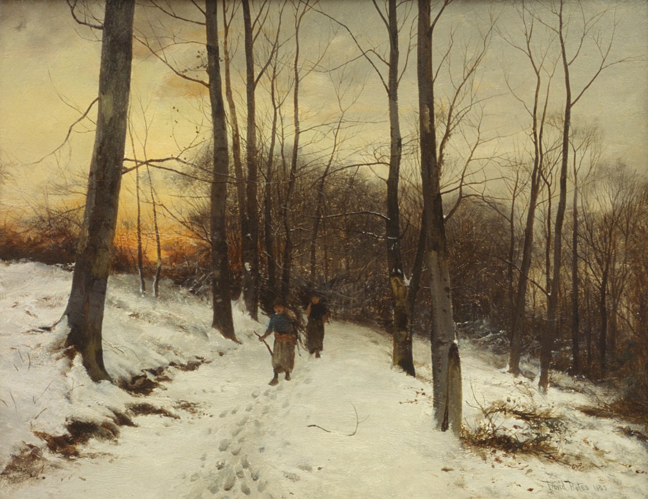 Malvern Woods by David Bates