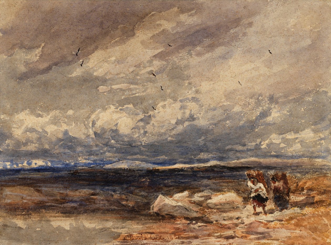 On Carrington Moss by David Cox