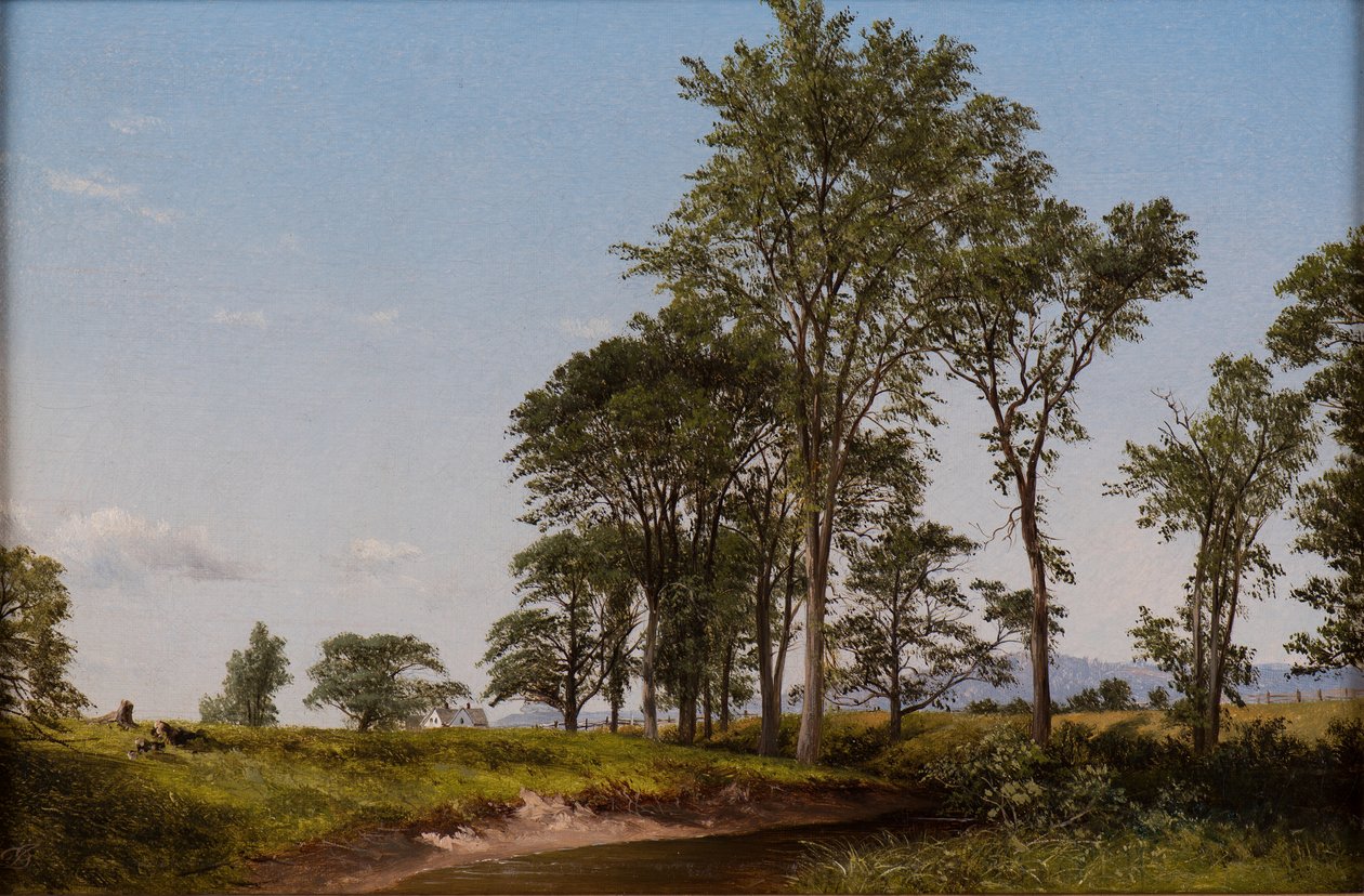 Young Elms by David Johnson