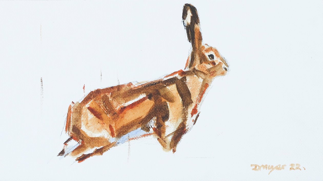 Hare by David Mayer