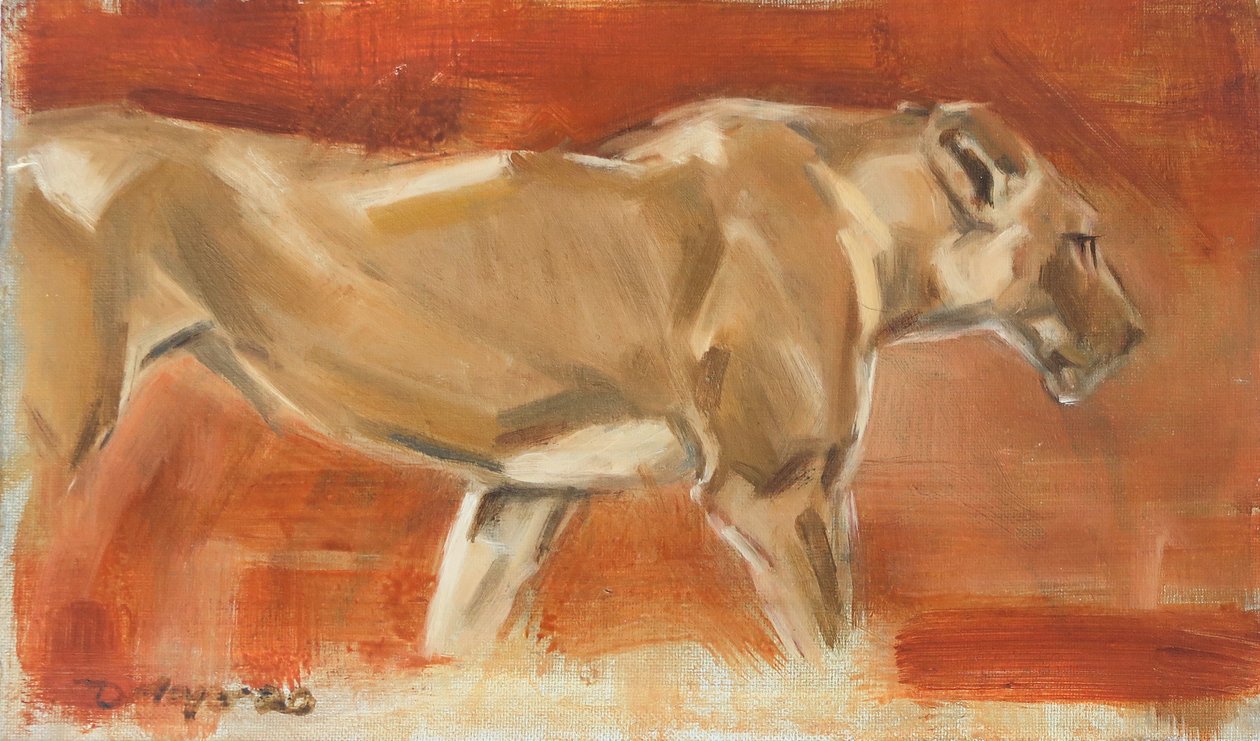 Lioness, 2019 by David Mayer