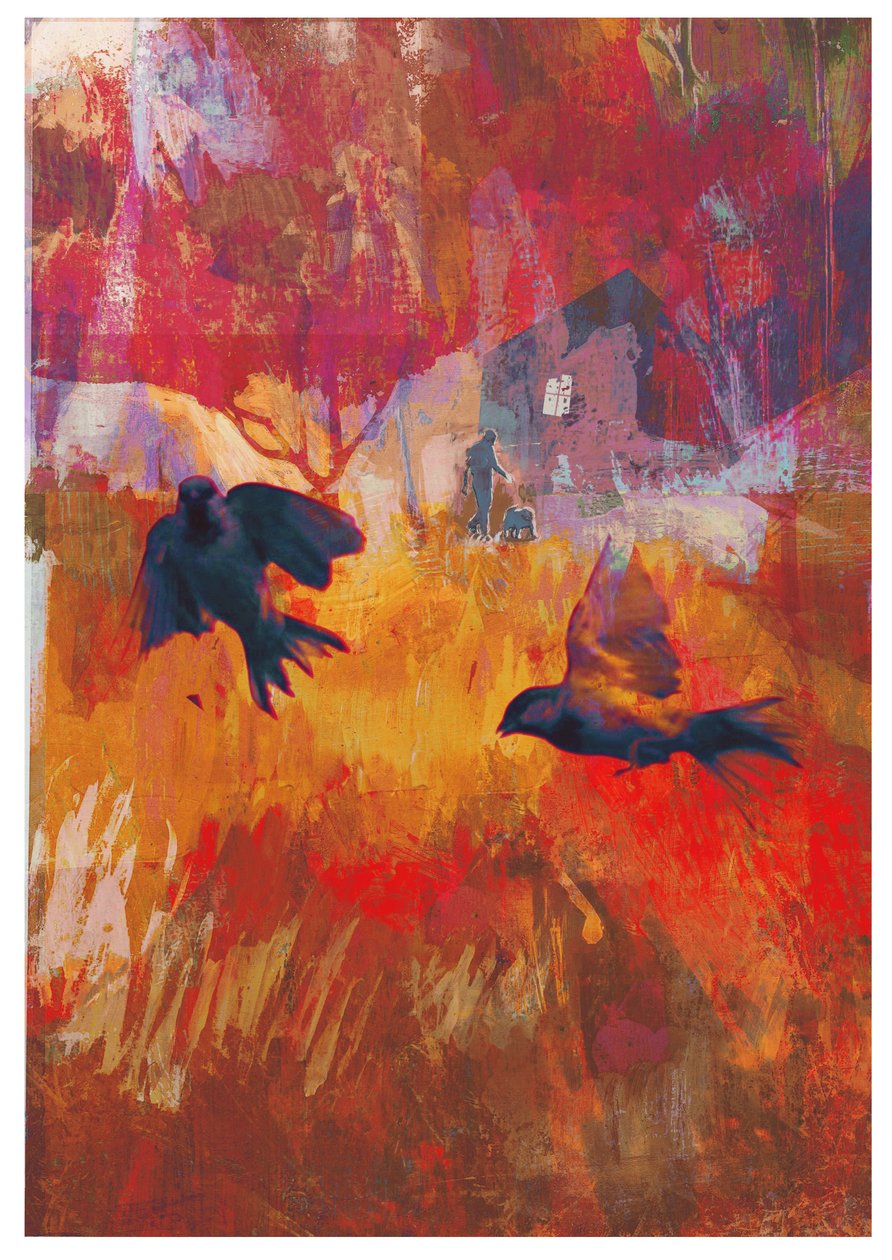 Sparrows by David McConochie