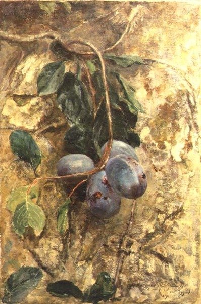 Plums by David Murray