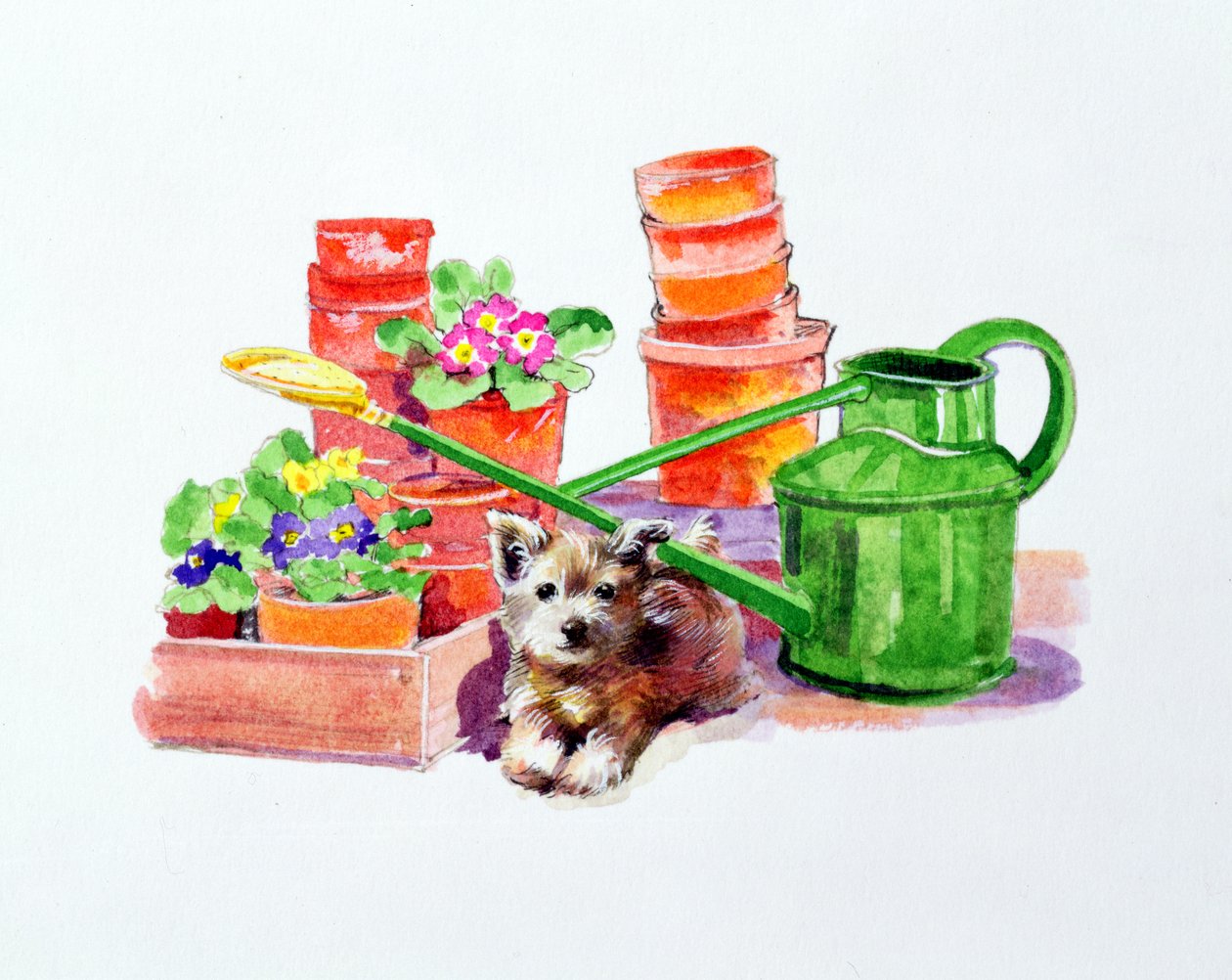 Terrier Amongst Terracotta Pots by Diane Matthes