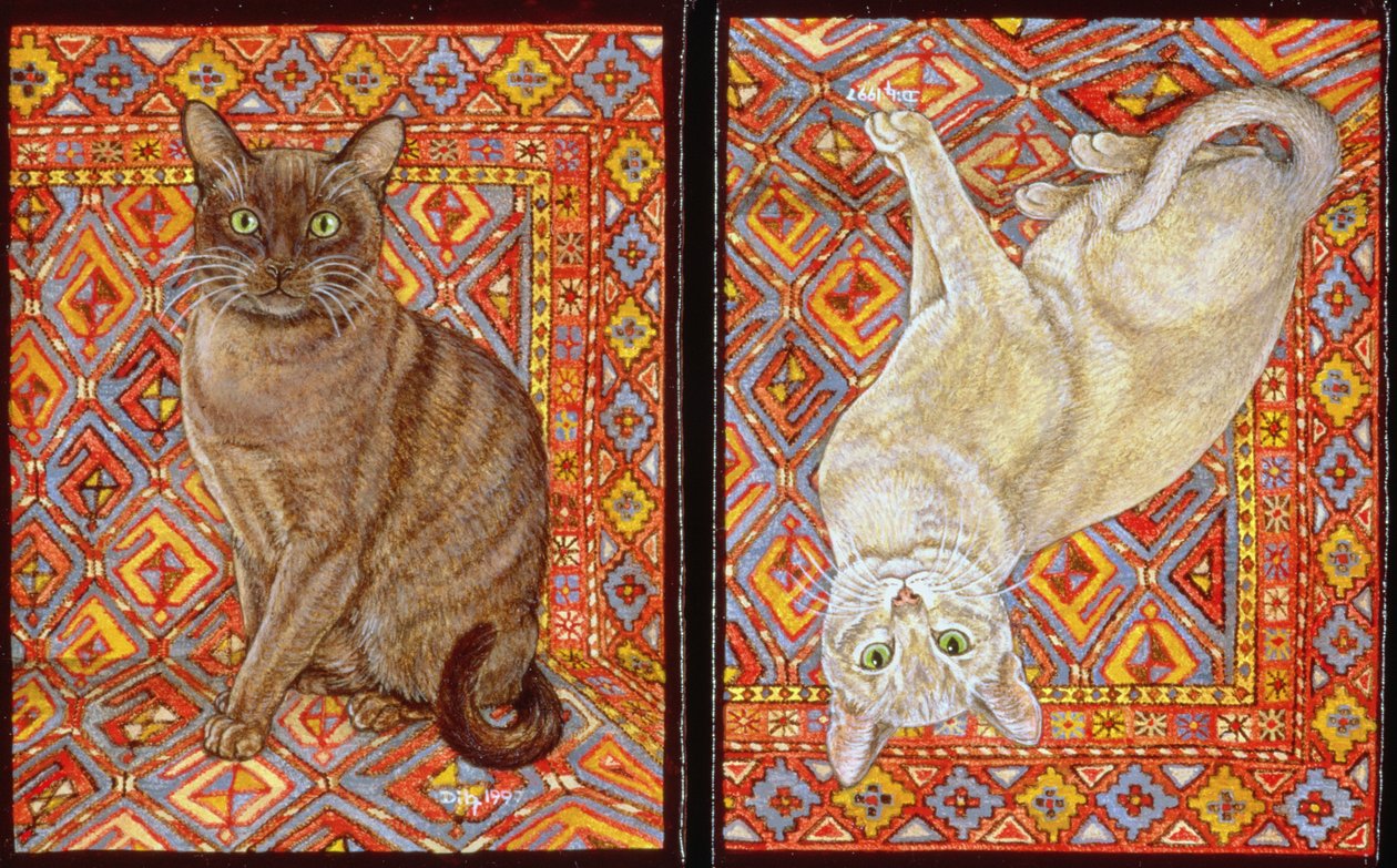 Burmese Carpet-Patch by Ditz