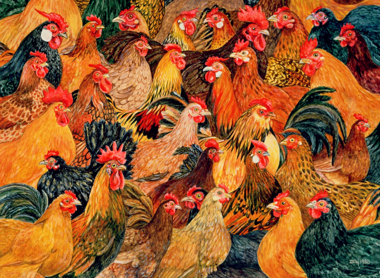 Fine Fowl by Ditz