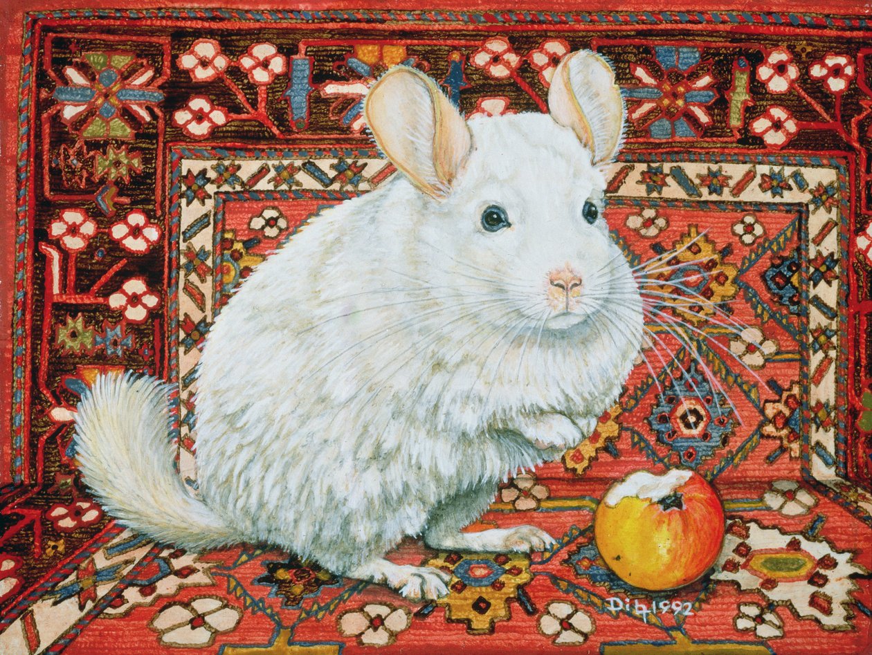 The Carpet-Chinchilla, 1992 by Ditz