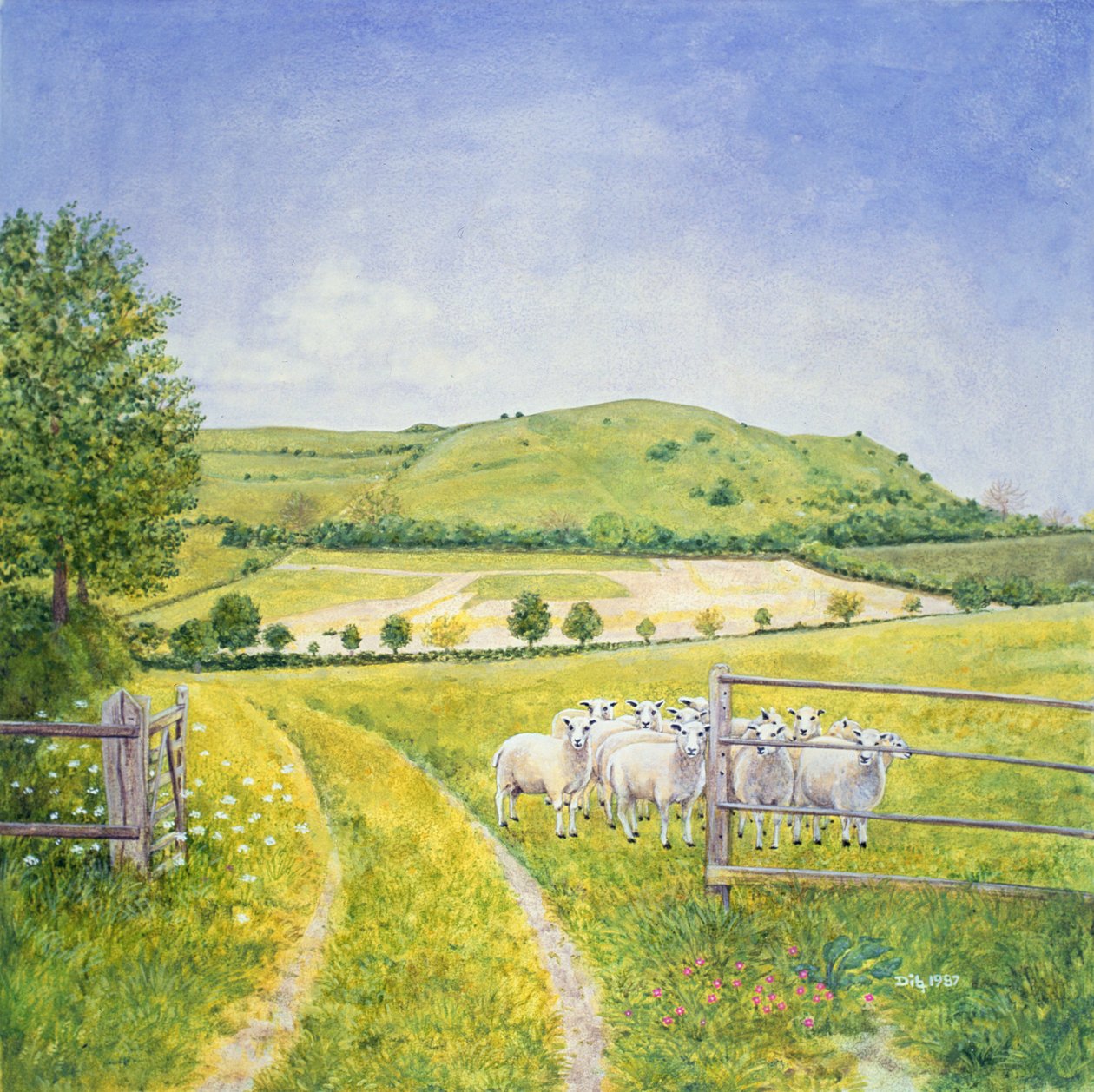 Wessex Sheep by Ditz