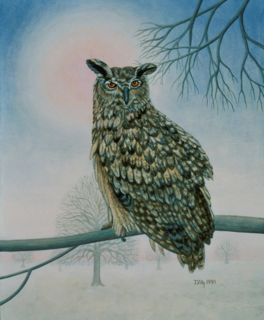Winter-Owl by Ditz