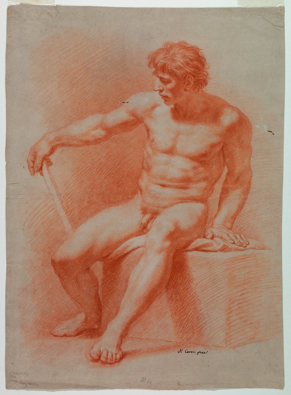 Drawing, Nude by Domenico Corvi