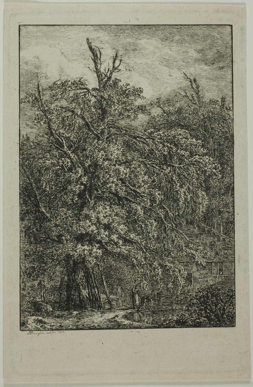 Great Tree by Domenico Quaglio