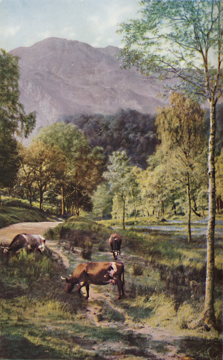 Scotland, c1930s by Donald McLeish