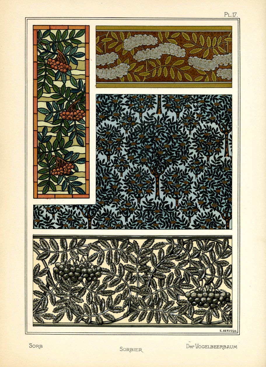 The Sorb by E. Hervegh