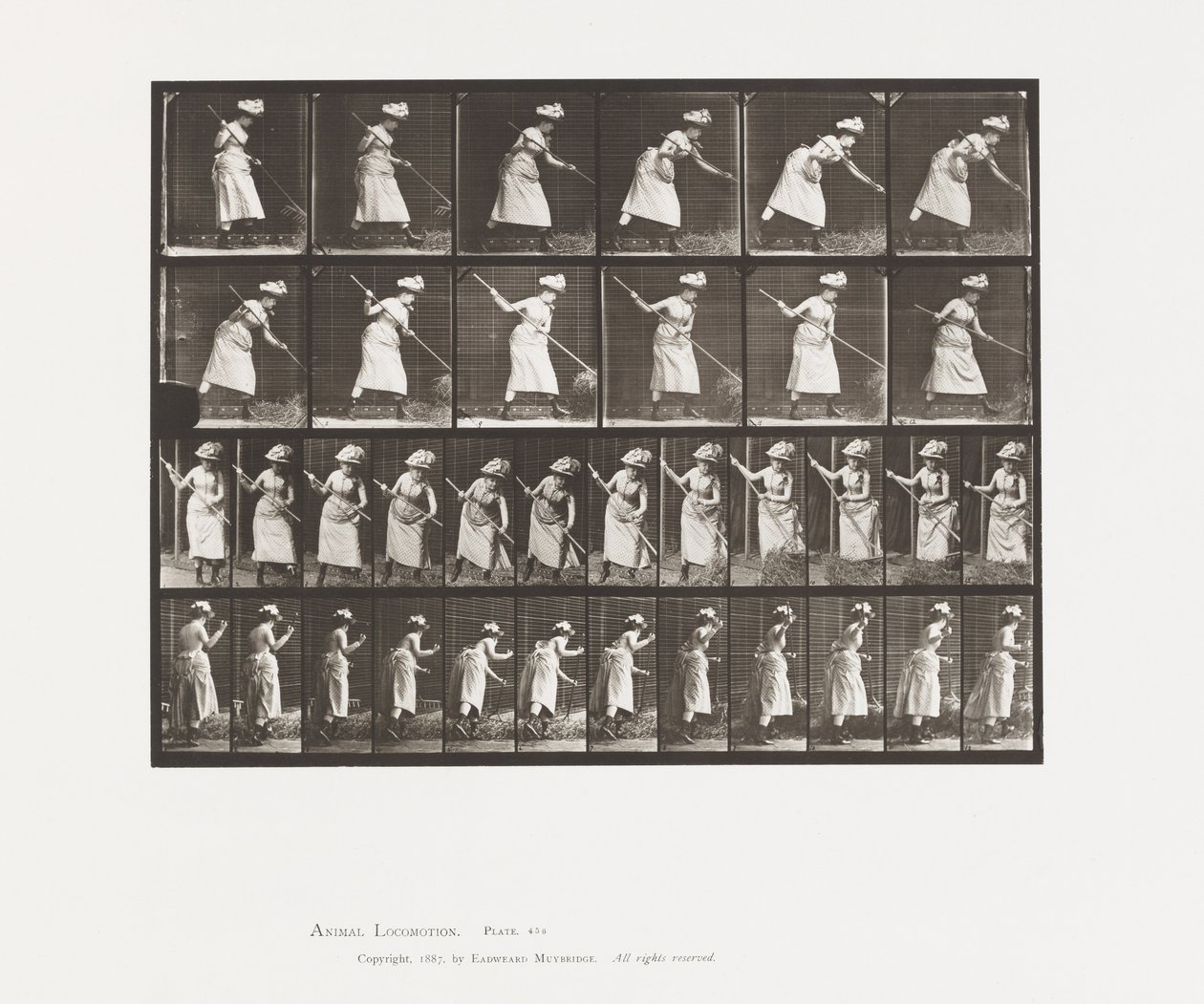 Raking Hay by Eadweard Muybridge