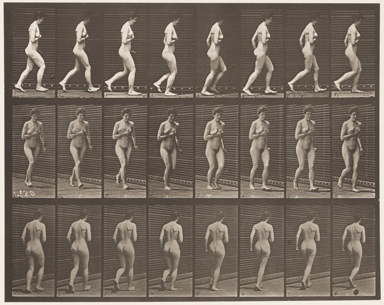 Running by Eadweard Muybridge