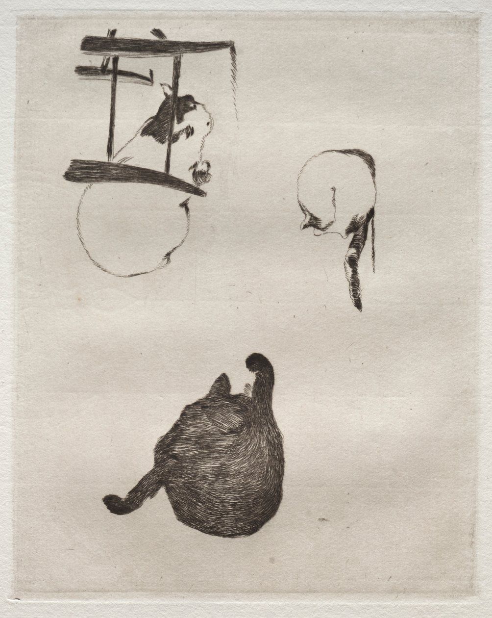 The Cats by Édouard Manet