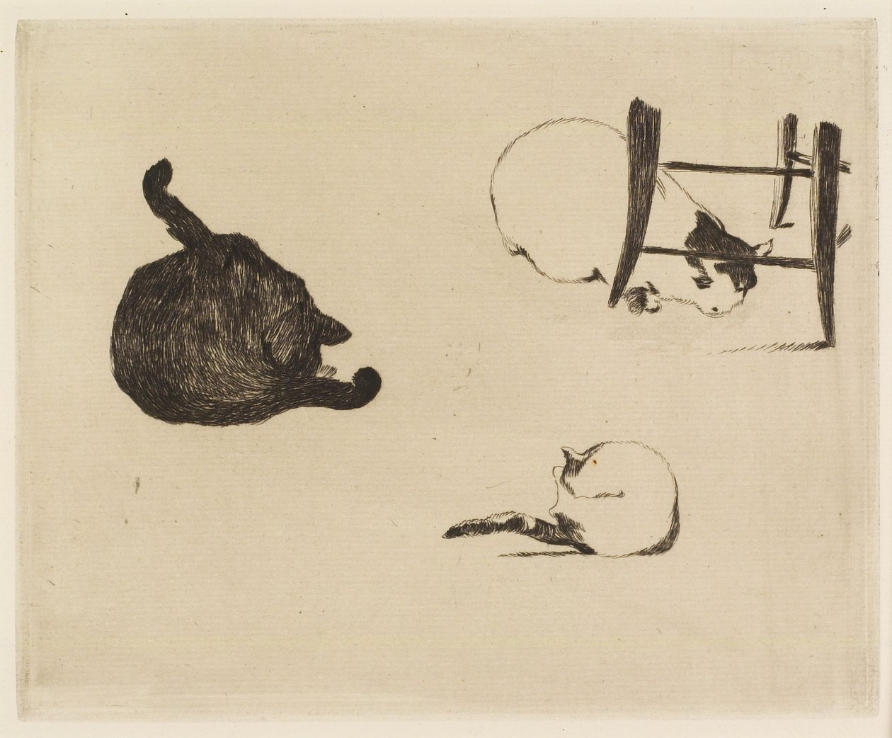 The Cats, 1869 by Édouard Manet