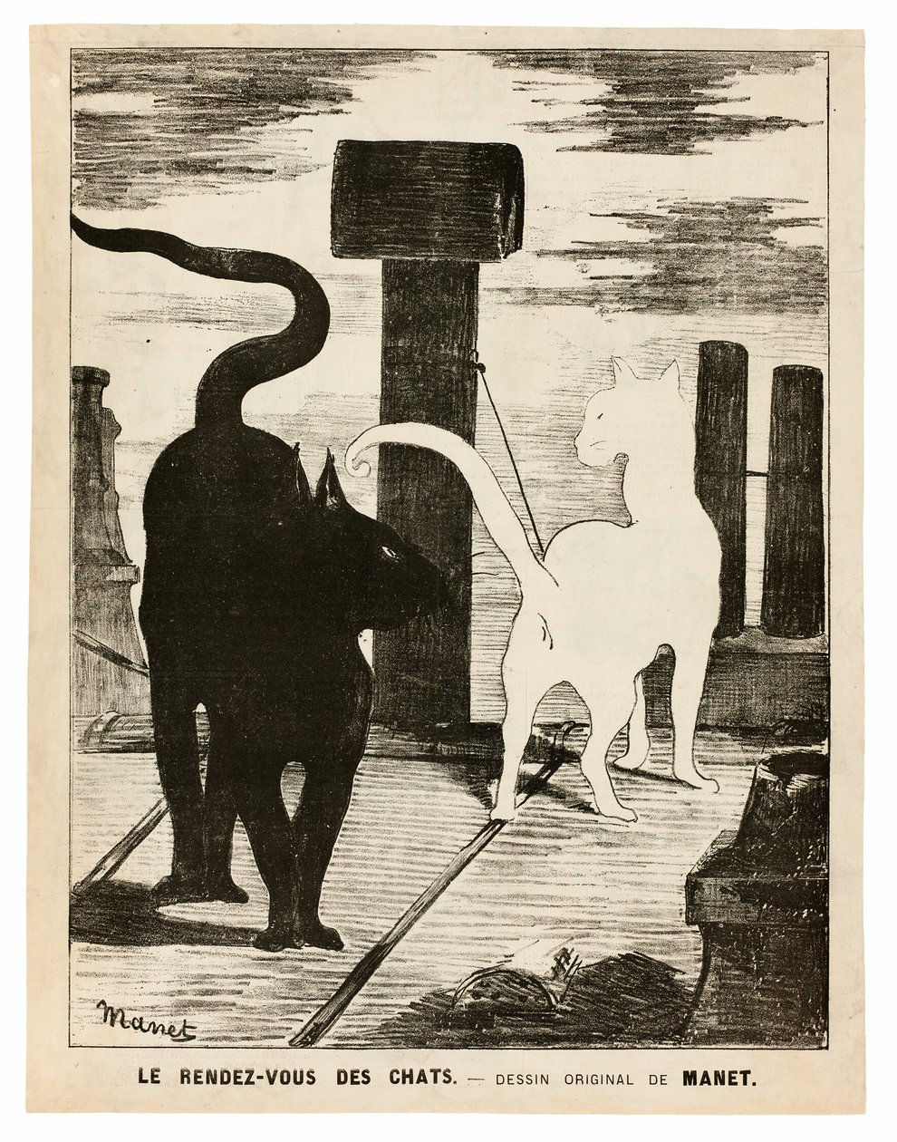 The Cats