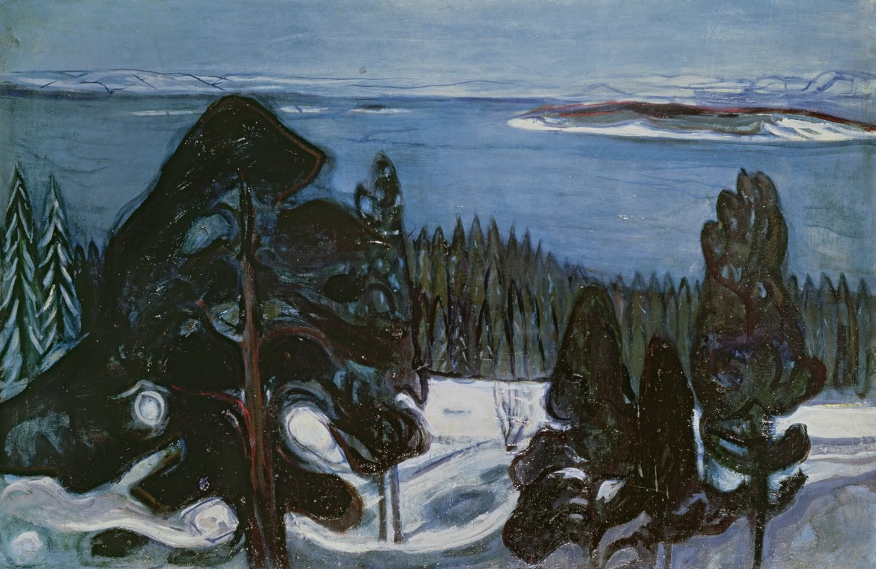 Winter Night, c.1900 by Edvard Munch