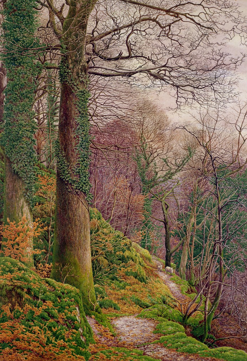 A Path in the Wood by Edward Bentley