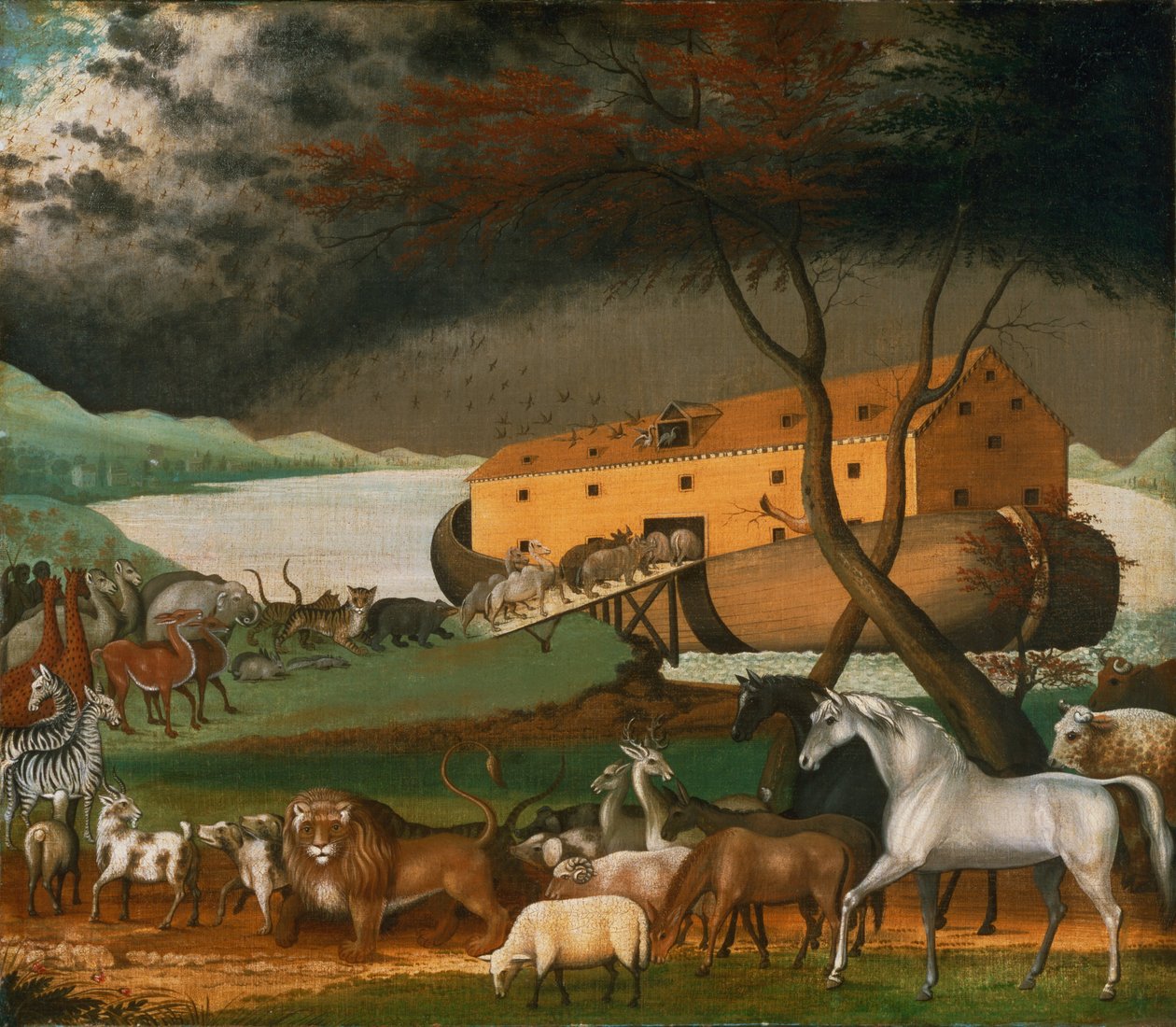 Noah