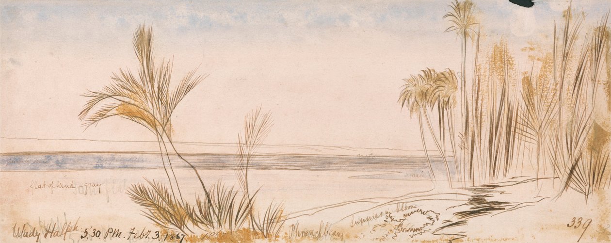 Wady Halfeh by Edward Lear