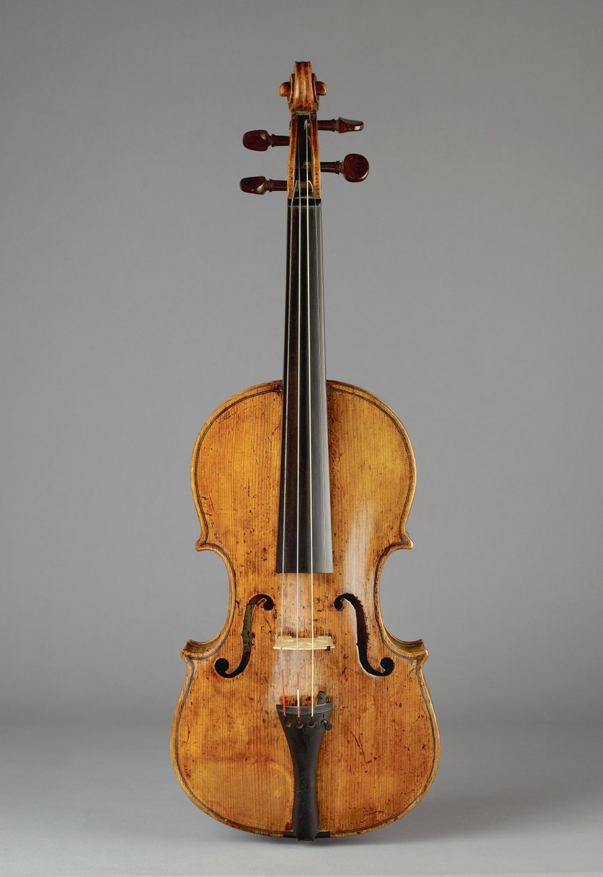 Violin by Edward Pamphilon