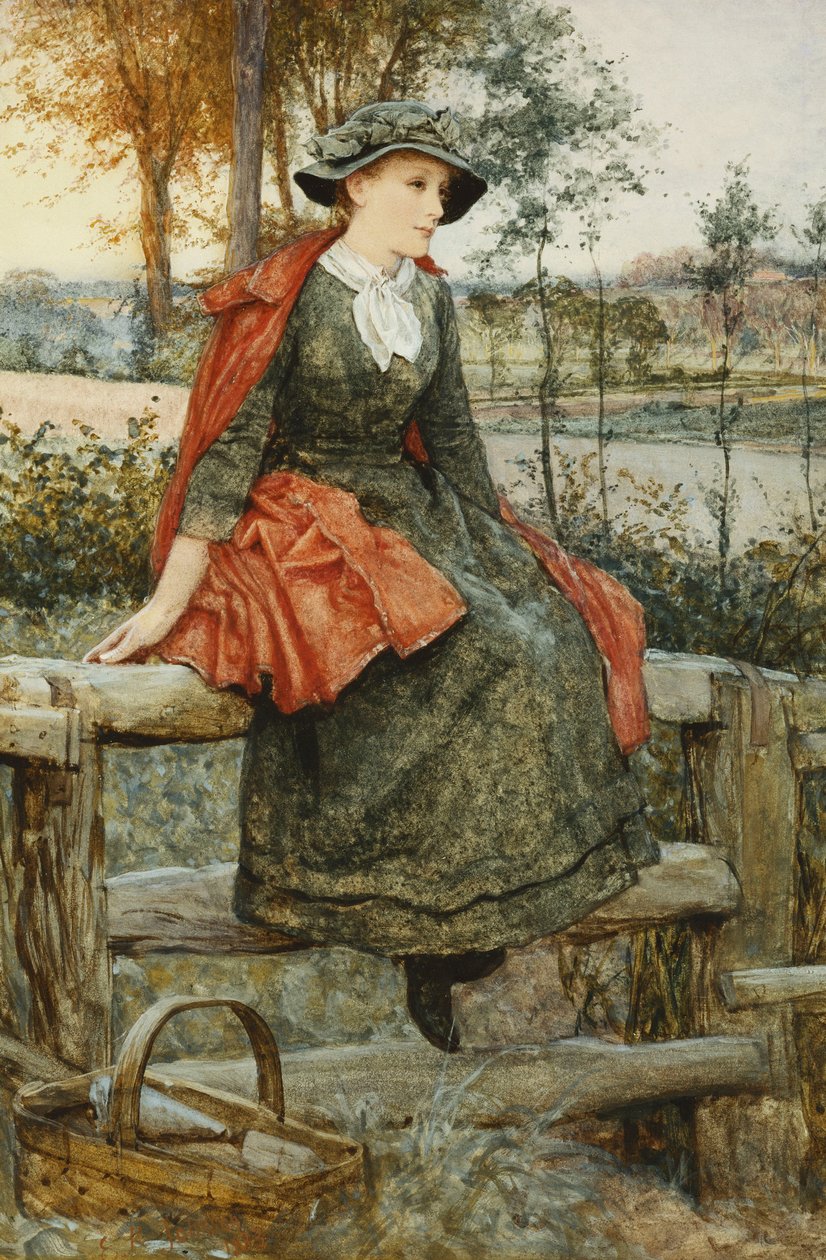 The Red Cape by Edward Killingworth Johnson