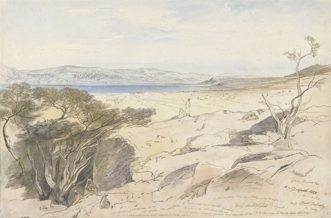 The Dead Sea by Edward Lear
