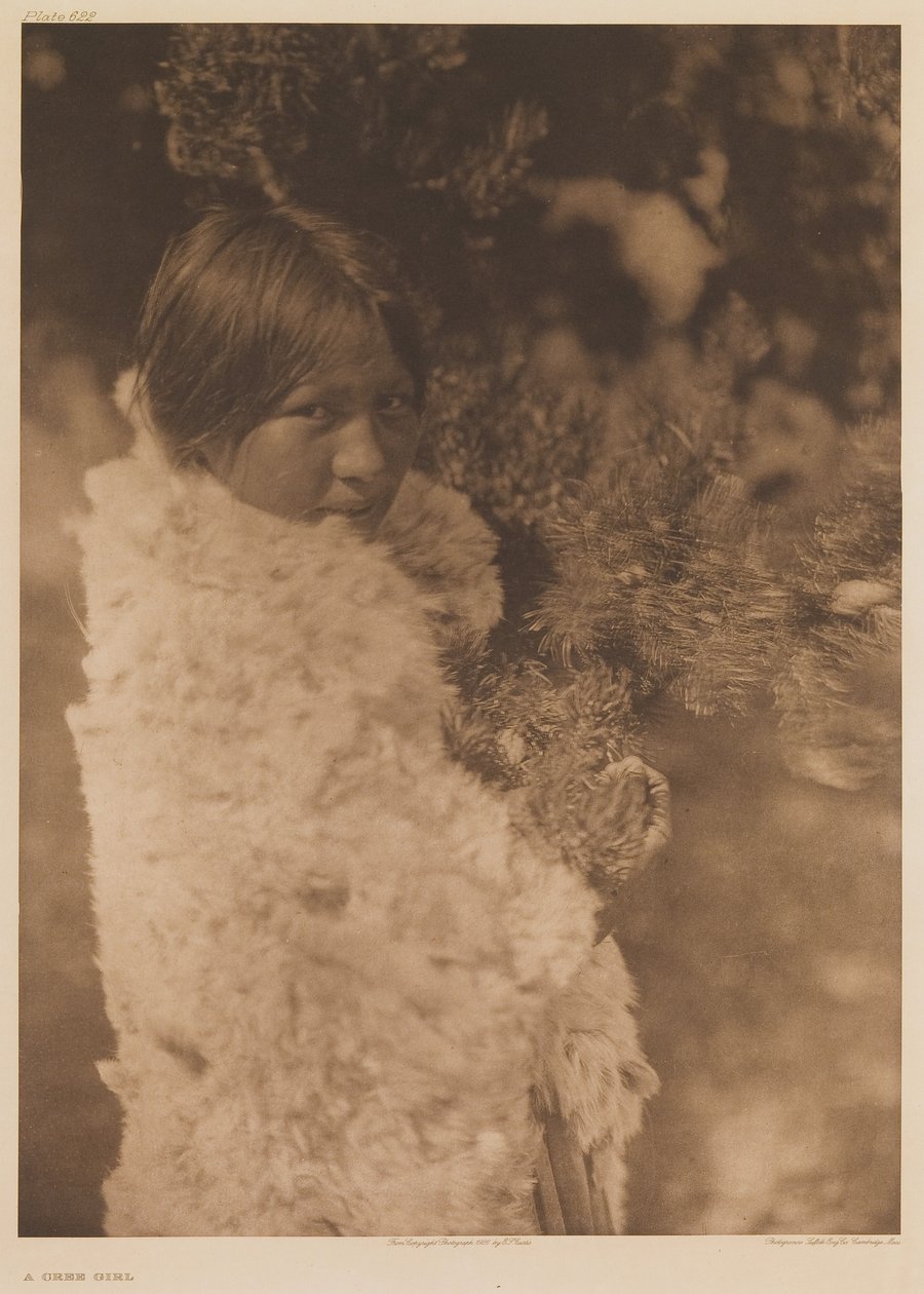 A Cree Girl by Edward Sheriff Curtis