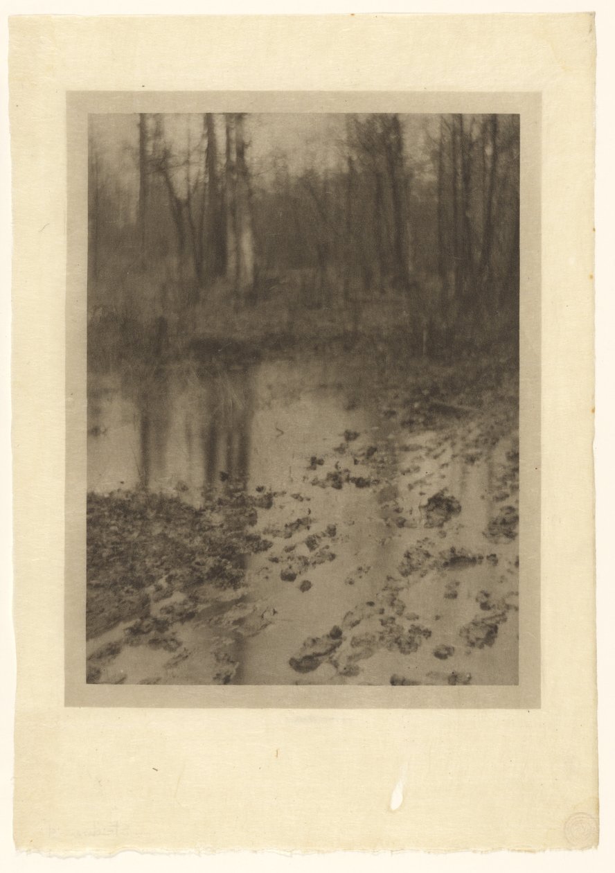 The Pool by Edward Steichen