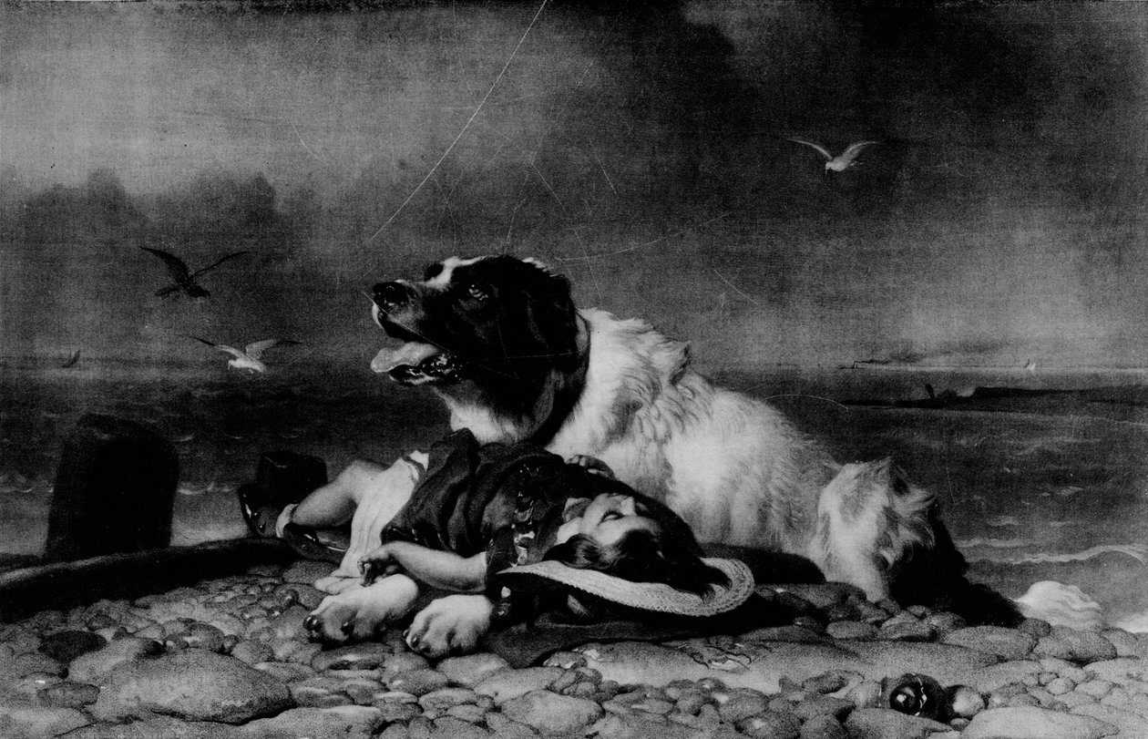 Saved!, c1856 by Edwin Landseer