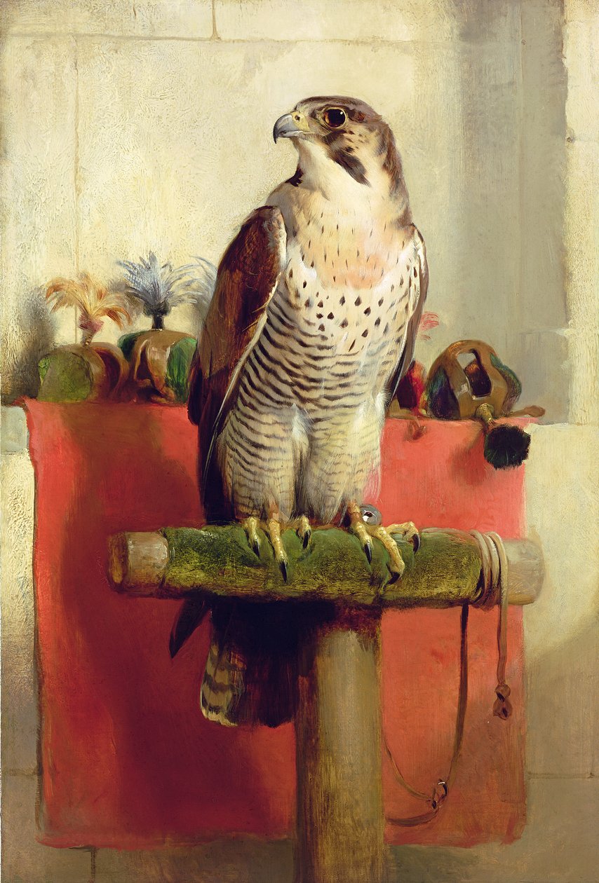 Falcon by Edwin Landseer