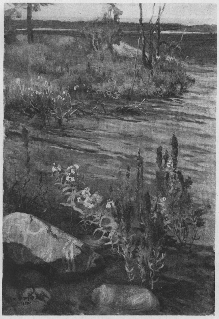 Flowers by the Water by Eero Järnefelt