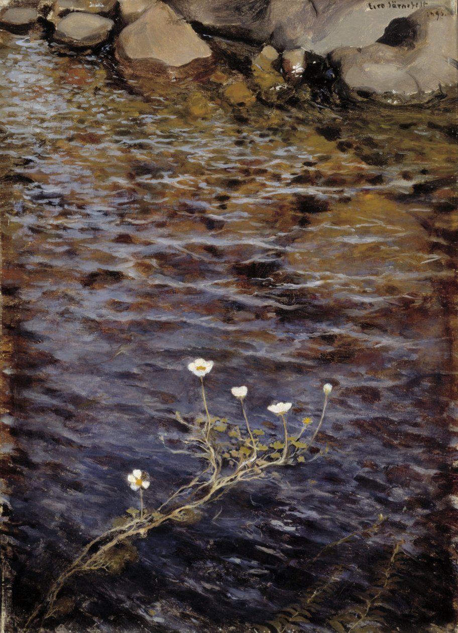 Pond Water Crowfoot by Eero Järnefelt