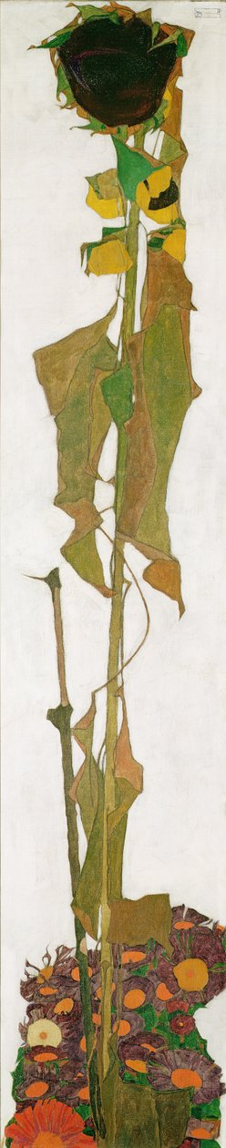 Sunflower by Egon Schiele