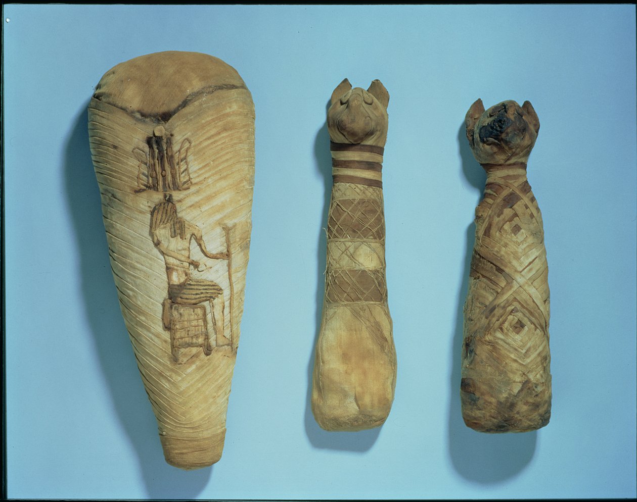 Mummified Cats and Ibis by Egyptian